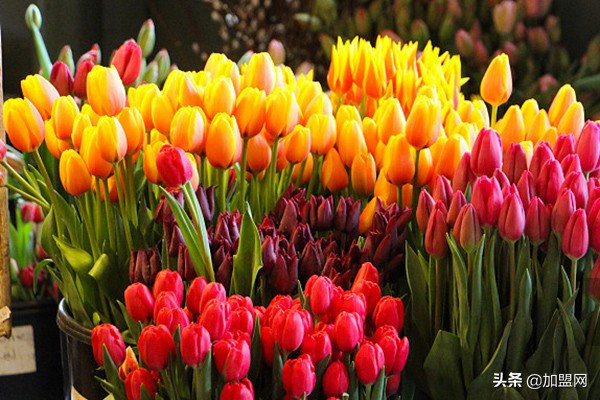 年轻人10大创业项目当今适合创业,励志正能量创业项目推荐2019创业