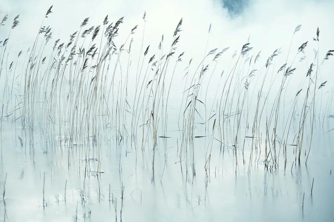学摄影从零开始学,学摄影的经验