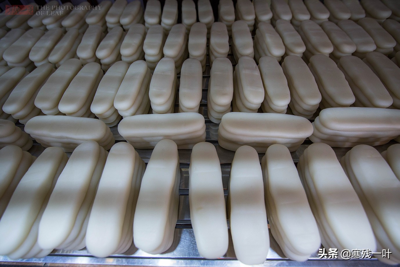 宁波不收门票的景区,宁波值得逛的老街