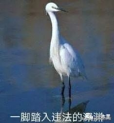 去网吧吃个鸡，结果走进了违法广告的天堂！网吧=网咖？