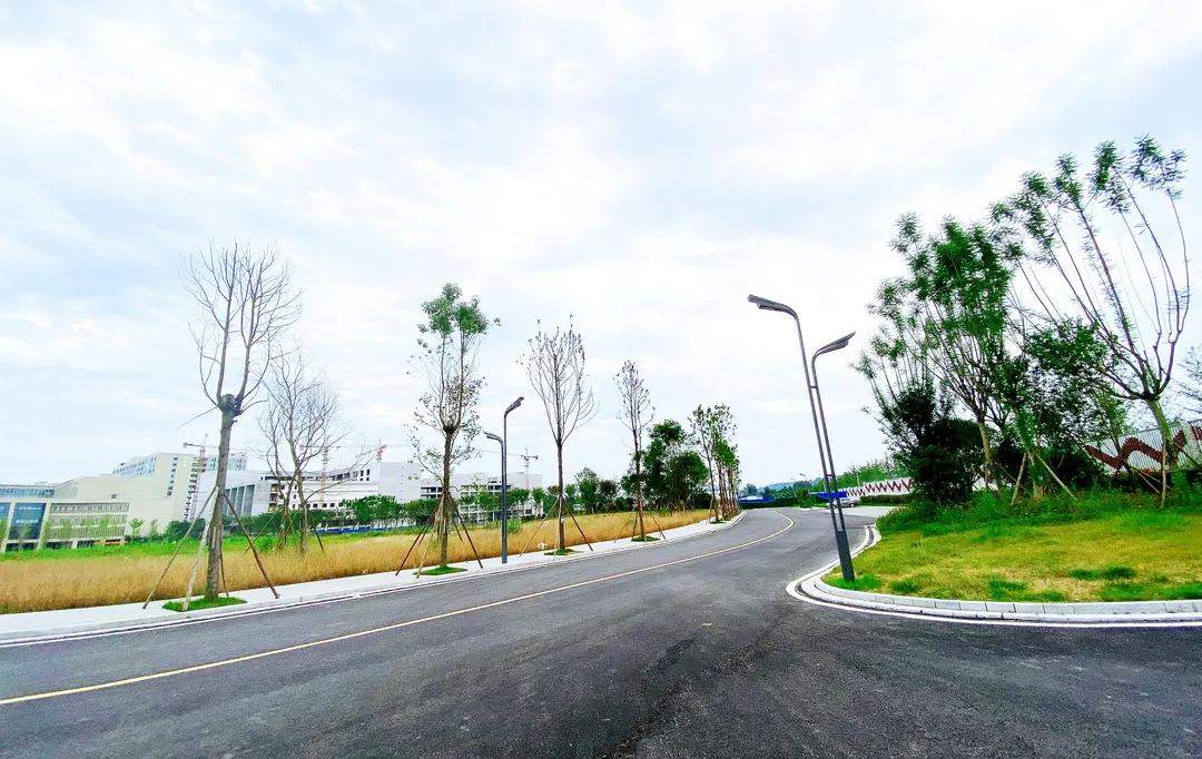 南充大学城建设最新消息,南充大学城几所学校建成