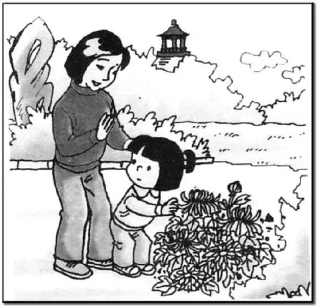 二年级期末看图写话150字视频,看图写话范文期末复习