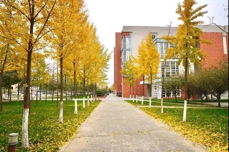 2019年高考报名网址查询,2019江西省考报名时间表