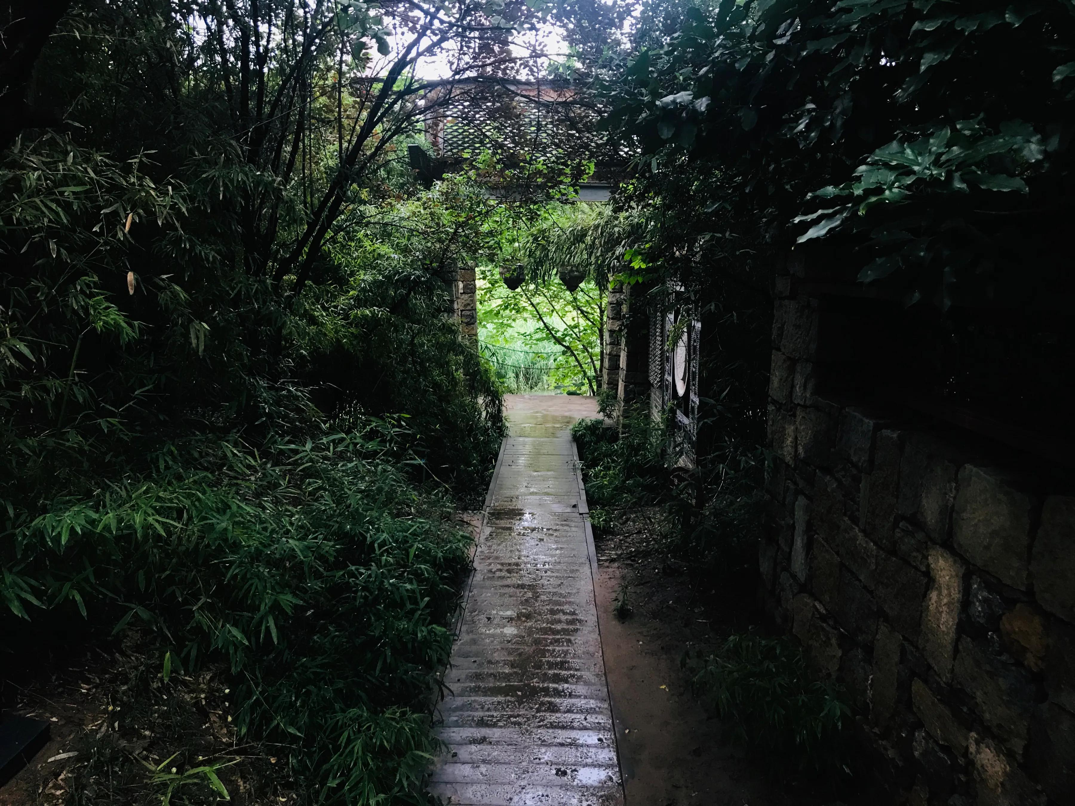 心有碧云天亦老，望穿秋水情未了