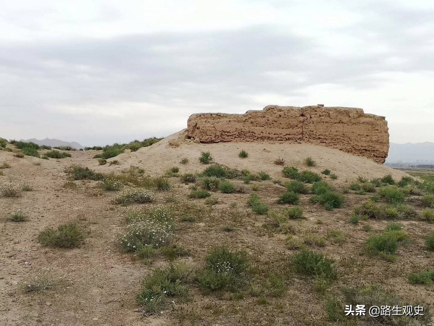 培黎学校是干什么的,培黎学校怎样