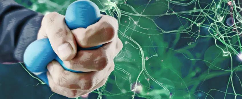 疯狂繁殖的大肠杆菌,顽固肠道细菌