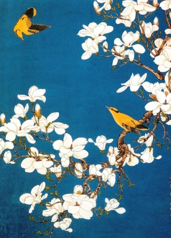 如此高花白于雪，年年偏是斗风开。盛开在诗词中的玉兰花