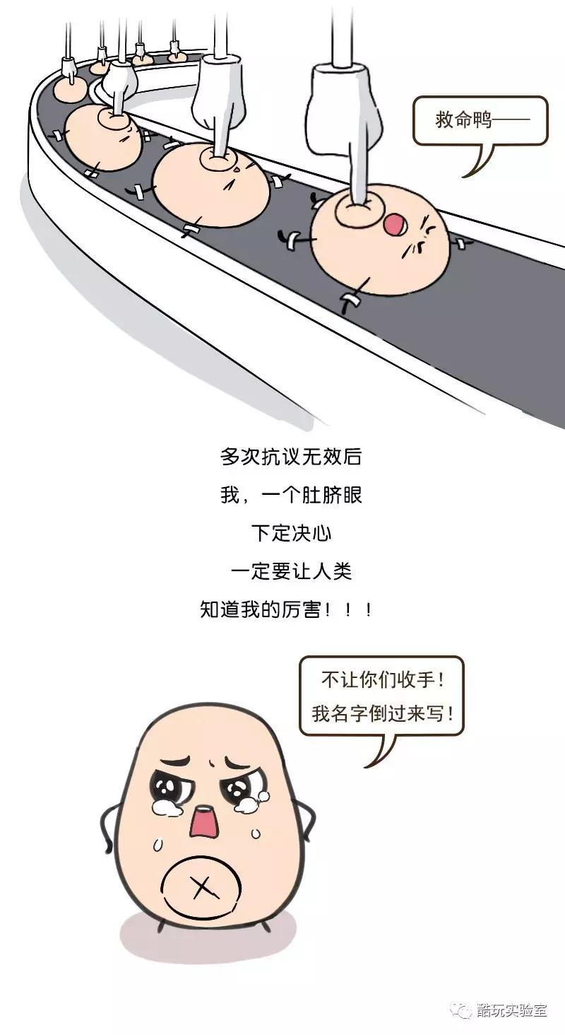 人类身上的第一道疤痕---肚脐眼，好神奇！（漫画）
