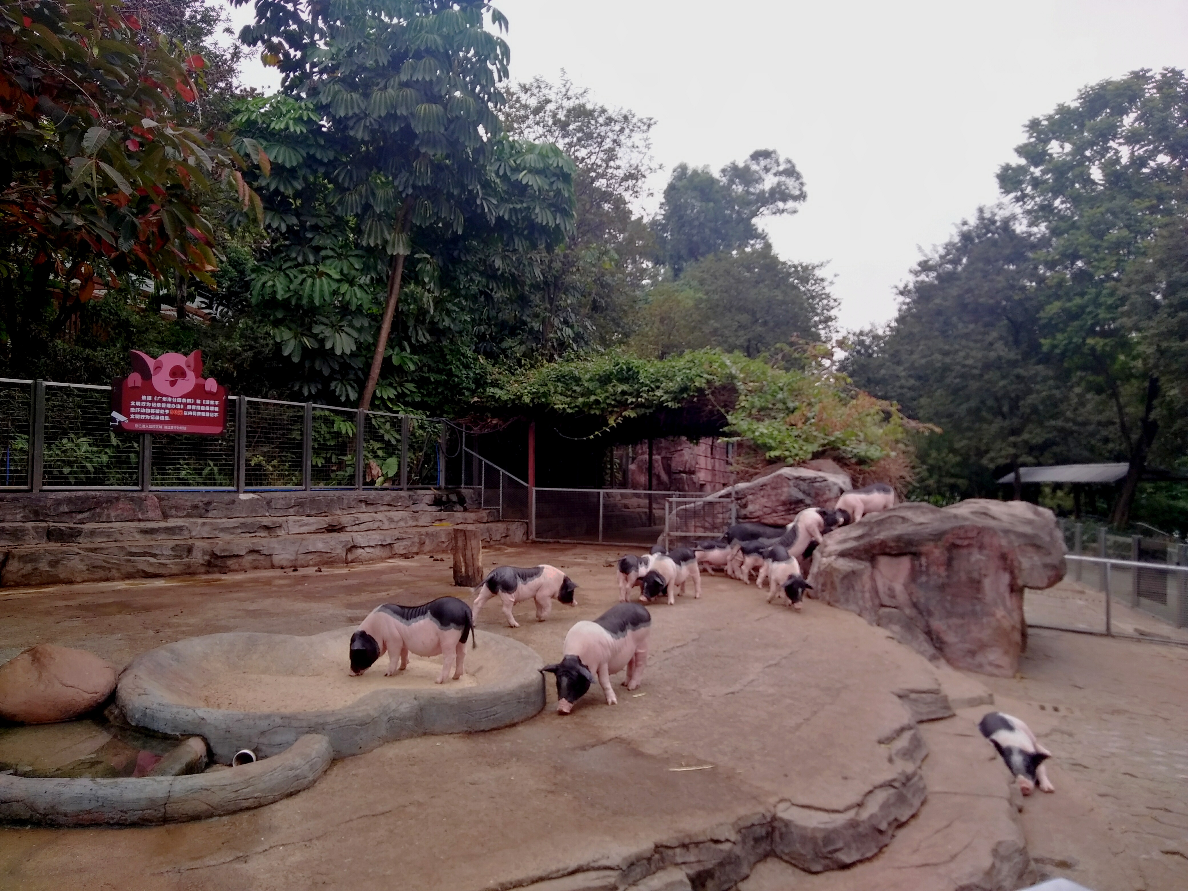 2022元旦广州有哪些好玩的地方,元旦广州哪里玩最合适