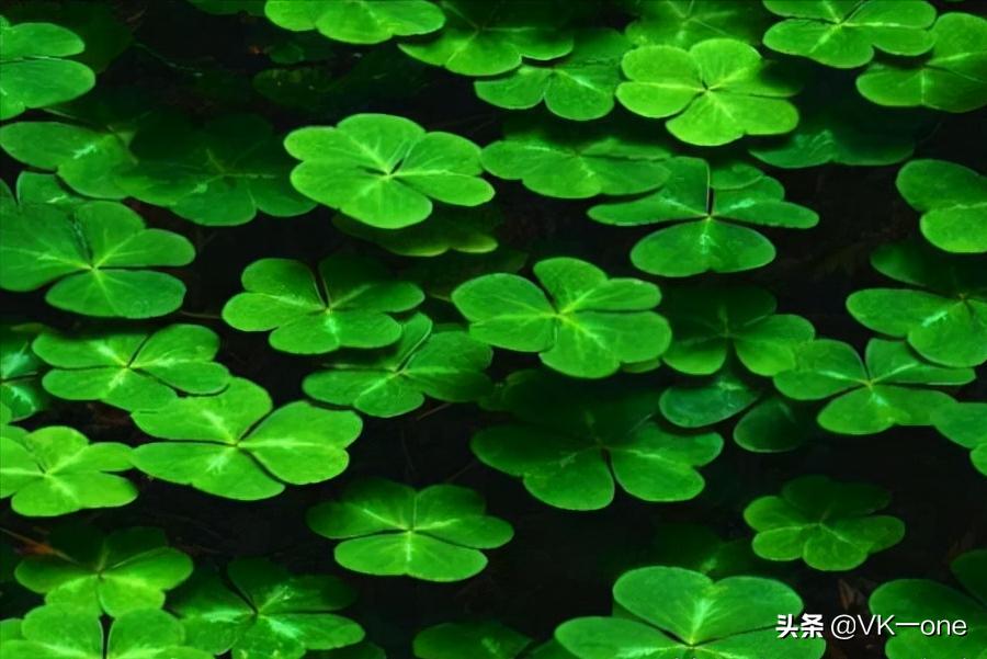 农村80后才看得懂的图和知道的经历