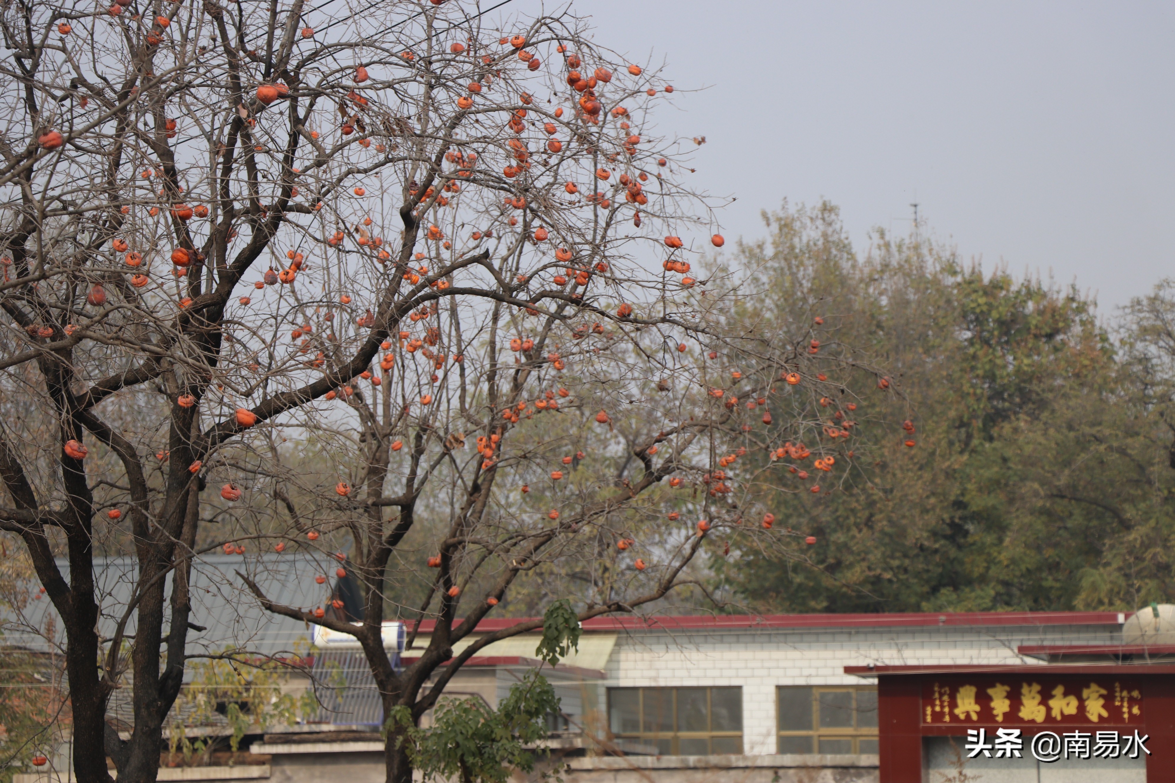 家乡风景带你一起感受自然的味道,令你难以忘怀的家乡的味道