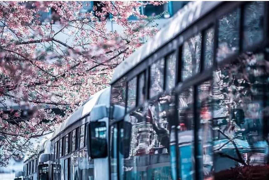 五月份上海有什么新消息,上海4月份有哪些消息