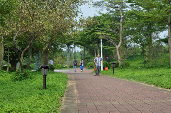 天气热灭蚊,天气回暖如何驱蚊虫