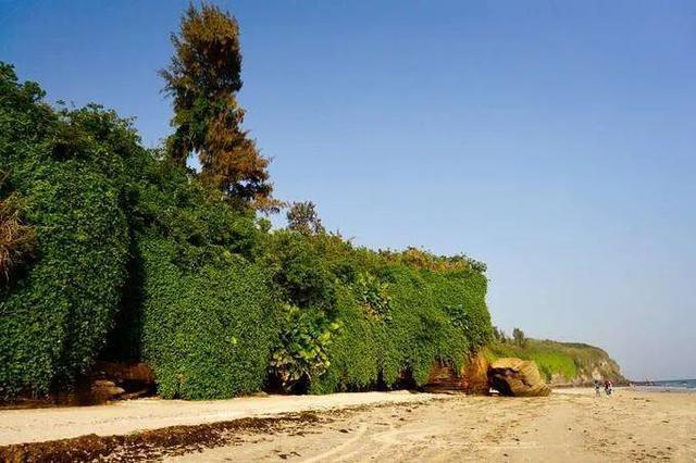 成都北海涠洲岛自由行,成都到涠洲岛攻略