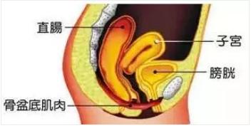 产后护理，盆底肌训练一定要注意