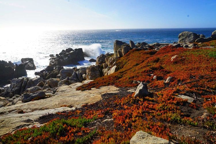 美国德州西部自由行,美国西海岸可以自由航行么