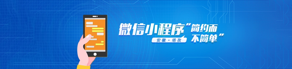 安徽塔孜信息技术有限公司怎么样,安徽塔孜信息技术有限公司