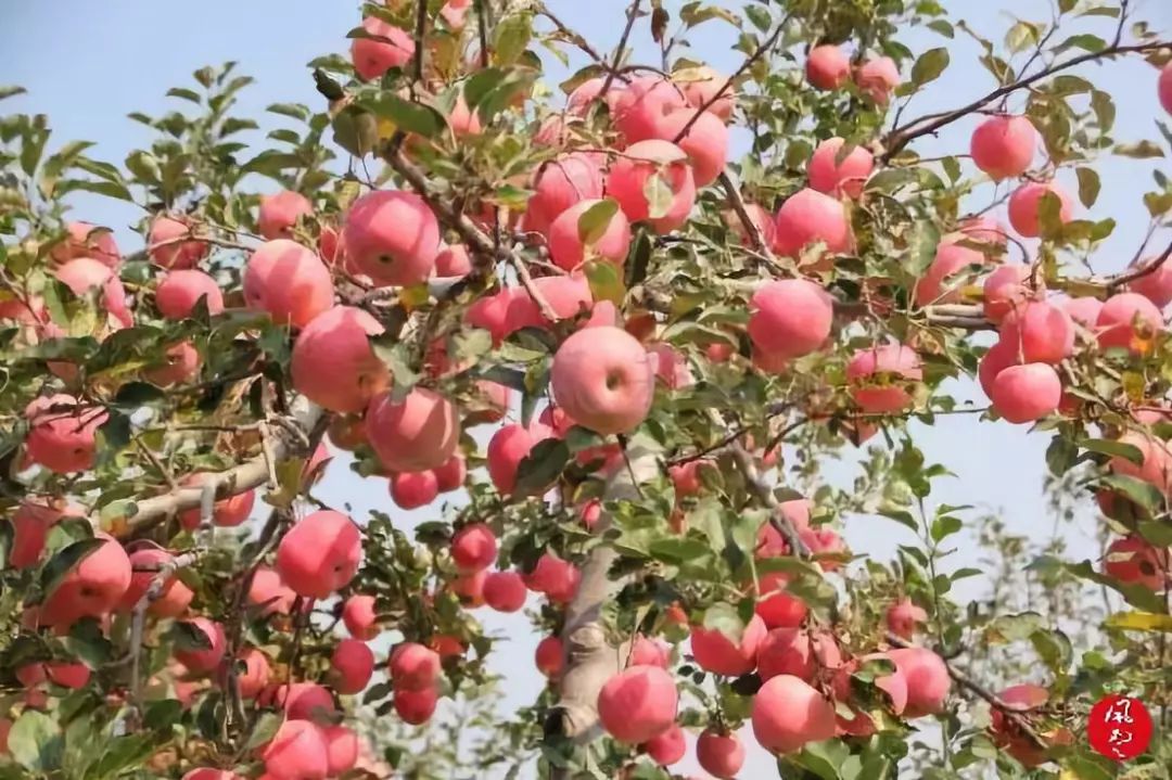 安德利股票上市,安德利上市最新消息