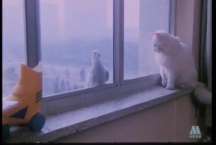 《力王》，《人蛇大战》你还记得那些“少儿不宜”的电影吗？