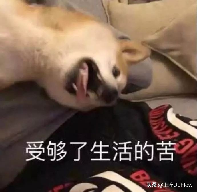 浙江随份子标准,浙江人随份子3800什么意思