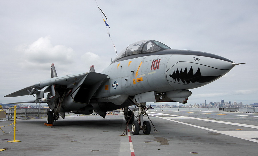 猫迷必备技能，F-14各型号的辨别