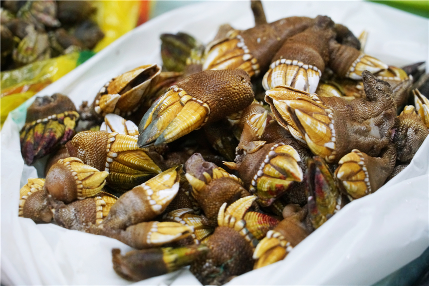 嵊泗列岛的梭子蟹很棒,浙江象山石浦码头梭子蟹