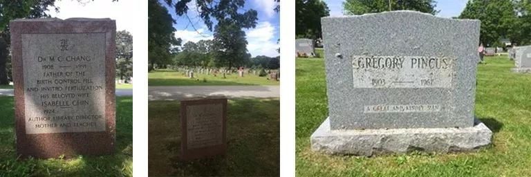 与巨人同行：来自中国的“避孕药之父”|赛先生