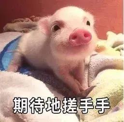 又有敢于直面虎扑的男人了？他真不怕挨骂吗……