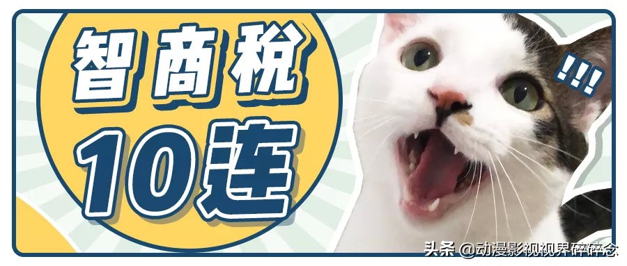 猫零食智商税10连，铲屎官的钱都是大风刮来的吗？