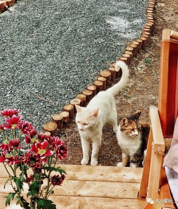 最美的房车营地,距离北京近的草原房车营地