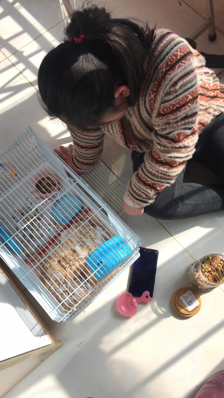 仓鼠越狱很久没有出来会在哪,仓鼠已经越狱三四天了还能找到吗