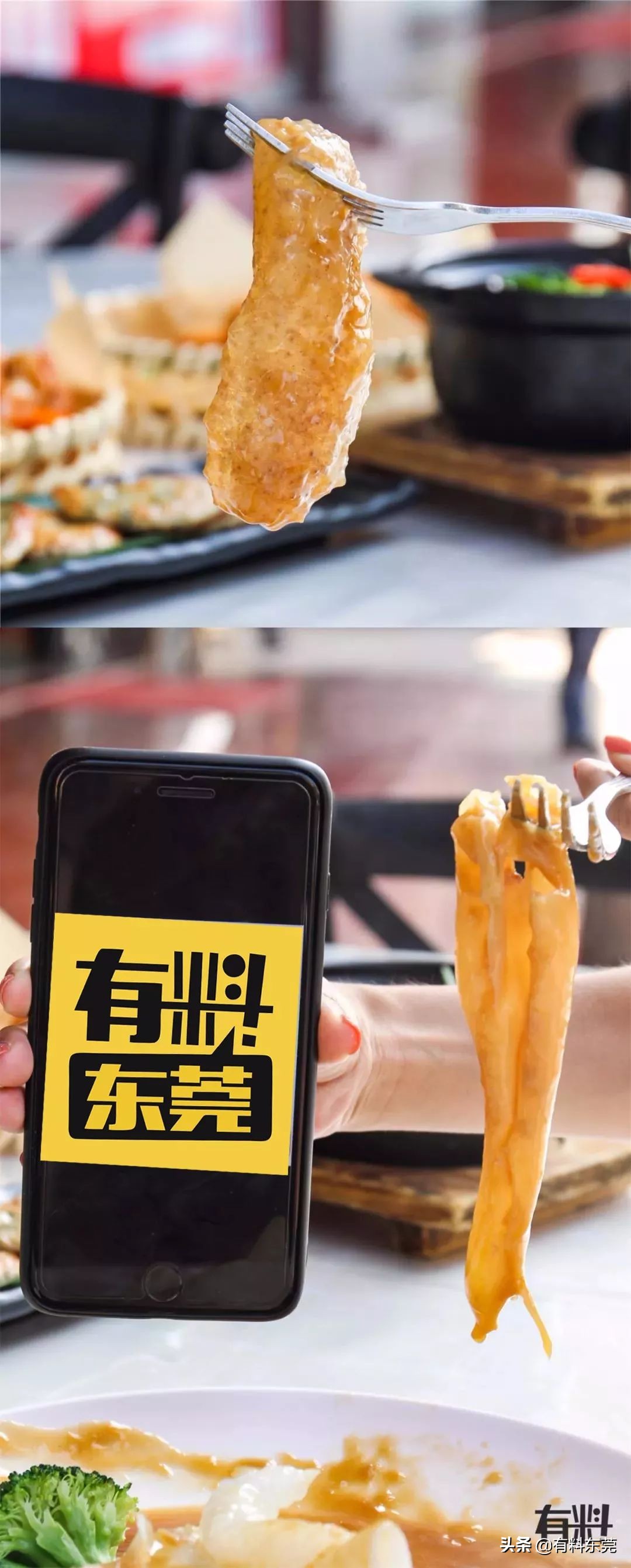 石锅鱼翅花胶捞饭团购,上海花胶鱼翅捞饭