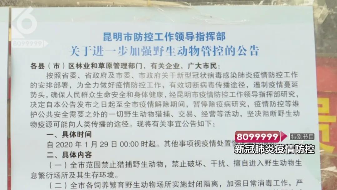 花鸟市场买宠物开放了吗,哪里有正规的花鸟市场