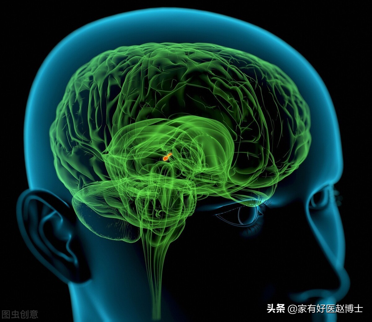 被称为“生理助眠剂”的褪黑素普通片，为何不少人口服效果不佳？