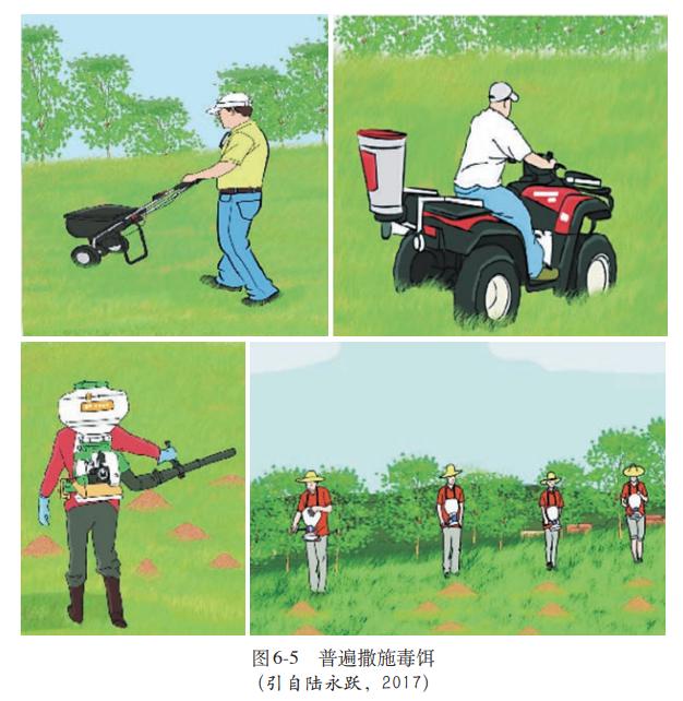 红火蚁图片危害,红火蚁的危害及防治方法