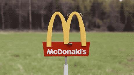 特朗普到底叫什么,特朗普一直都叫特朗普吗