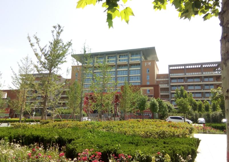 县城中学考上清北,浙江学生要如何努力才能考上清北