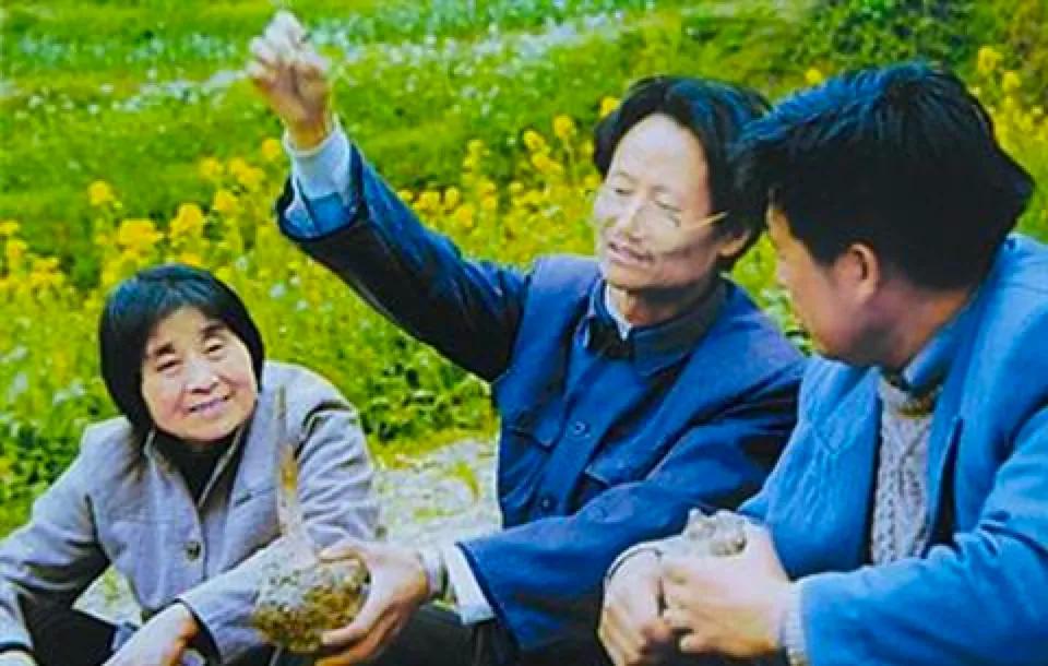 被打的老教授，吃饱的中国人