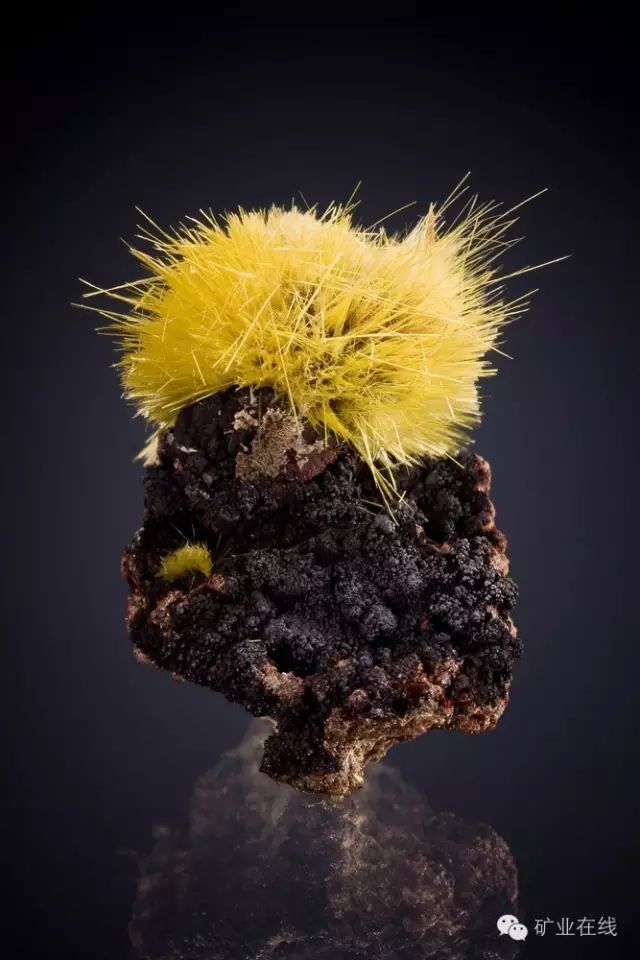 常见的矿物岩石有哪些,4种最常见于岩石里的矿物