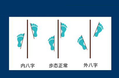 成语五谷丰登是什么意思,成语五谷丰登五谷指的是