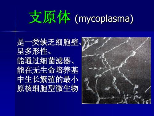 臭氧消灭螨虫的方法,室内除螨虫最有效方法