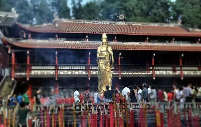 青城山熊猫谷都江堰一日游攻略,熊猫谷青城山都江堰一日游攻略