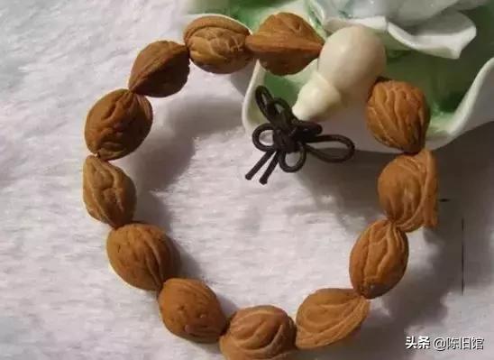 最值得玩的菩提子,真正的菩提子