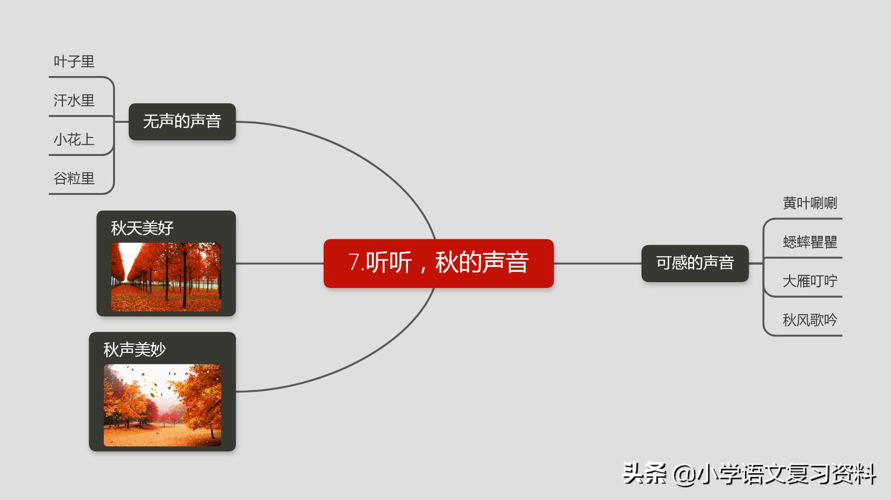 三年级1-3单元思维导图怎么画数学,三年级下册数学1-4单元的思维导图