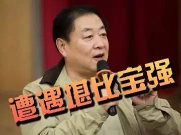 比王宝强还惨！前央视主持刘斌，三婚娶马蓉闺蜜却遭出轨掏空家产