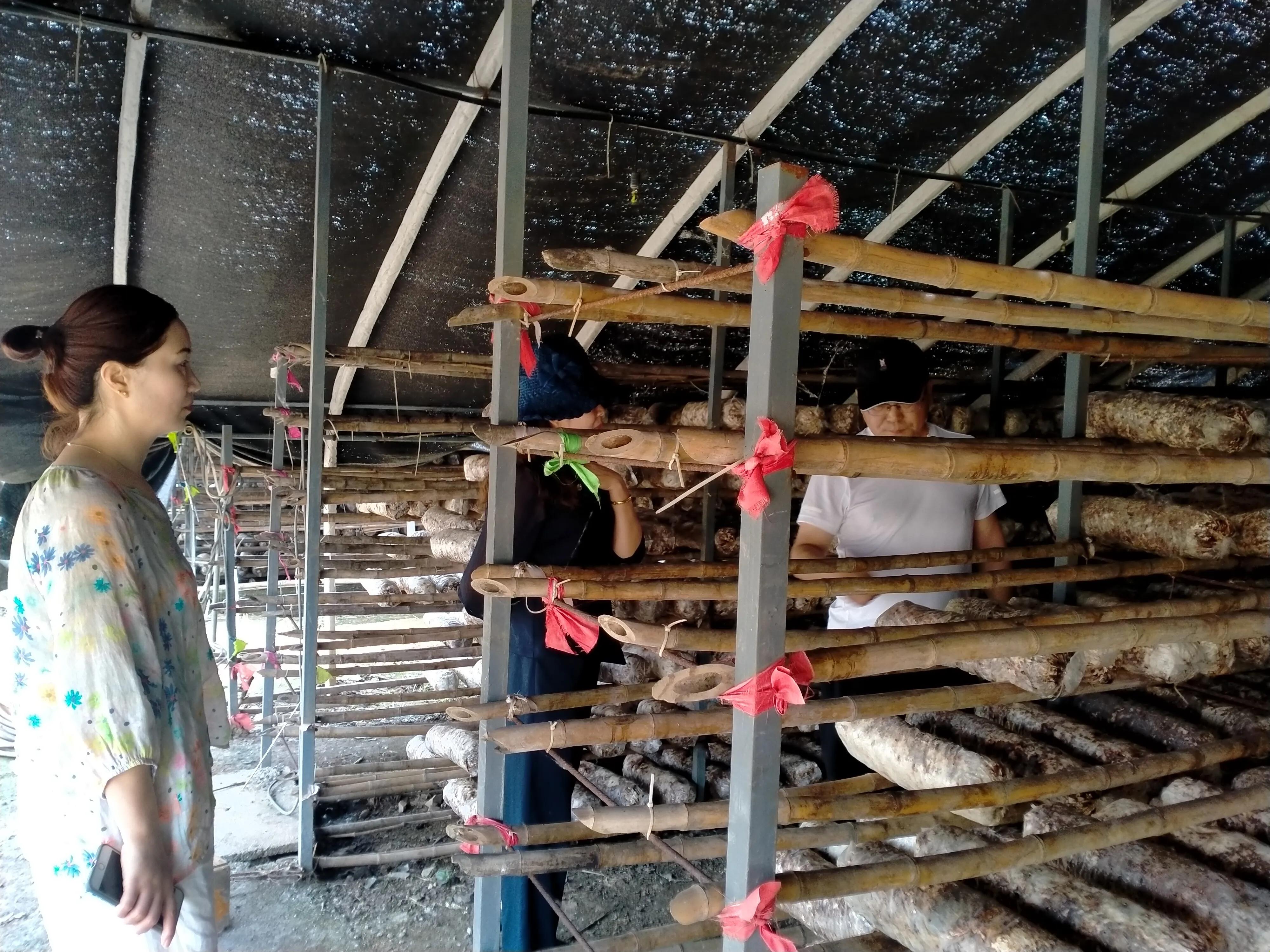 农村种植20万亩地一年能赚多少钱,搞农业种植什么可以赚钱