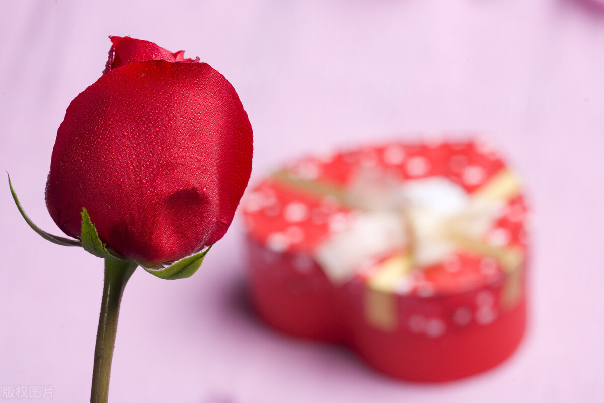 单身36年，被人介绍为精神病患者对象后，我的择偶观彻底变了