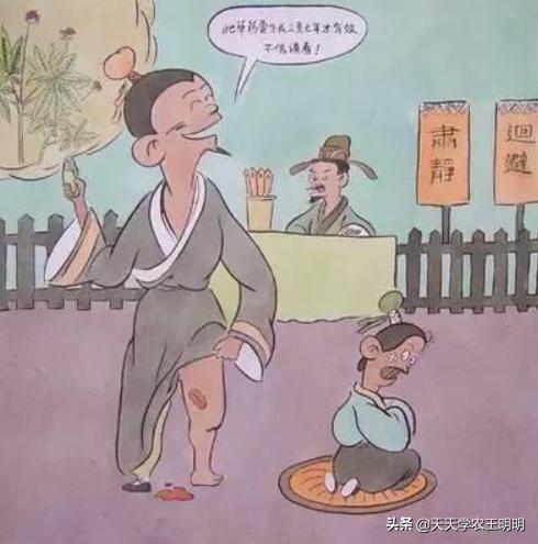 三七种植的年数与价格关系如何,三七是怎么种的