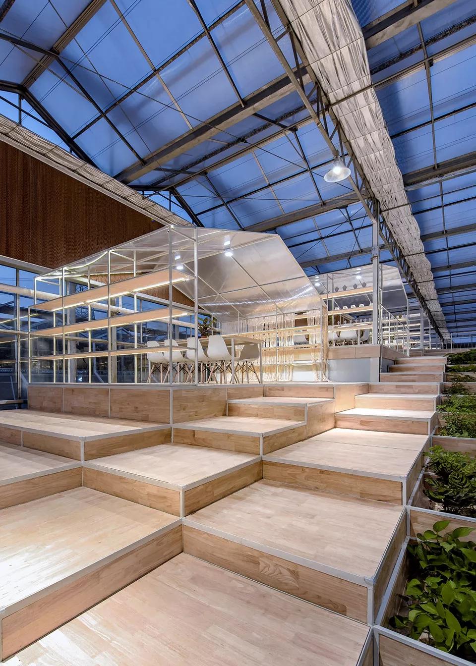 乡村振兴特点文化案例分享,关于乡村振兴比较有创意的点子