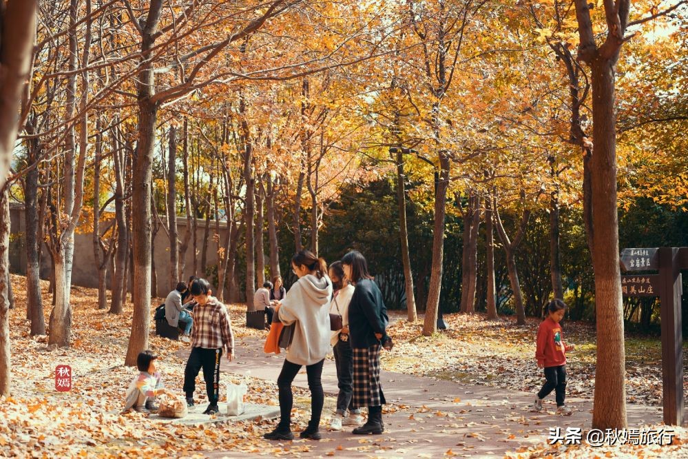 常熟网红美食盛宴,常熟网红枫林菜谱